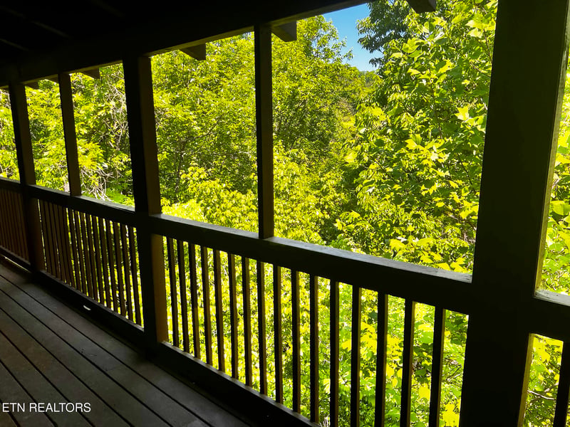 3216 White Falcon Way #19, Pigeon Forge, TN 37863