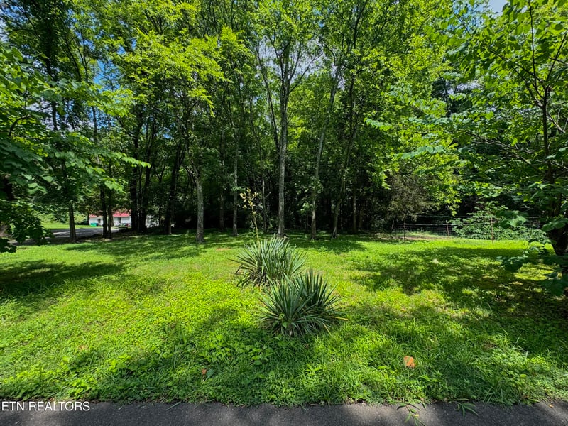 3217 Curtis Ln, Knoxville, TN 37918