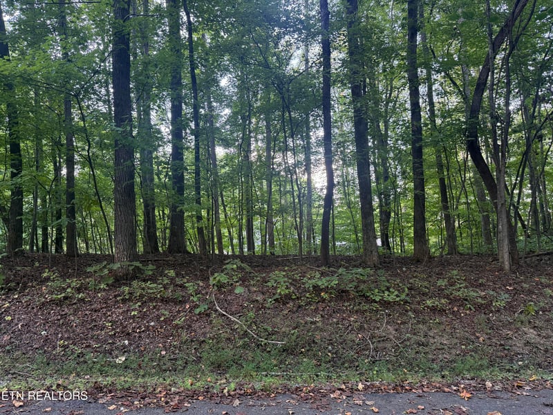 322 Dudala Point, Loudon, TN 37774