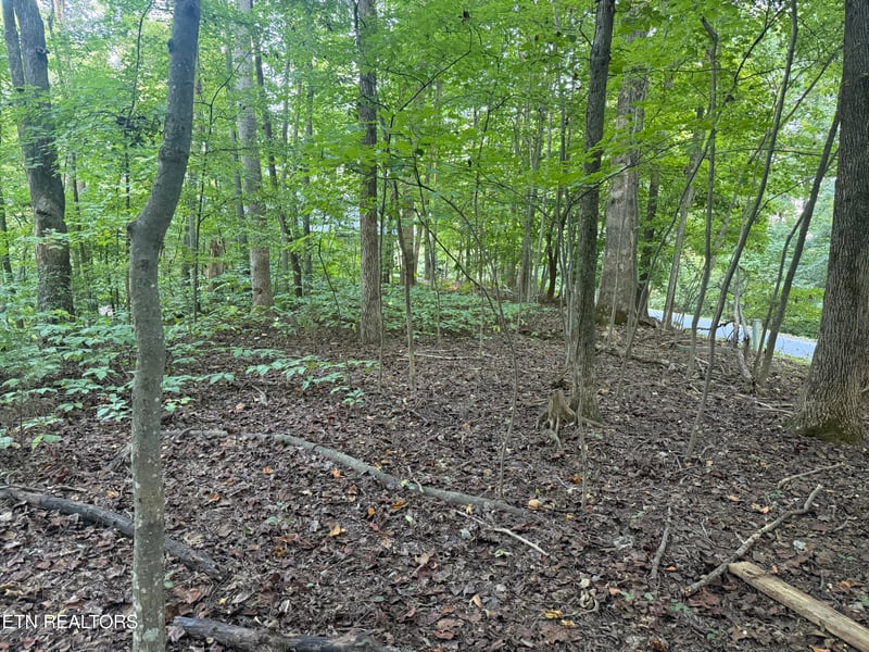 322 Dudala Point, Loudon, TN 37774