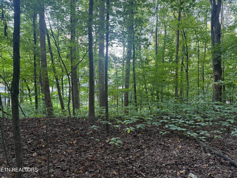 322 Dudala Point, Loudon, TN 37774