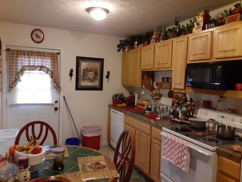 3220 Gold Dust Dr, Pigeon Forge, TN 37863