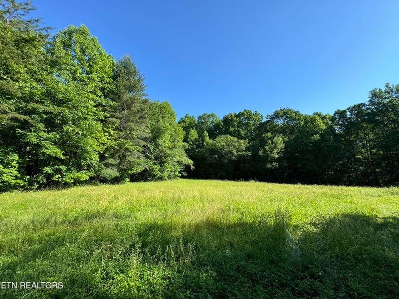 3223 Helenwood Loop Rd, Helenwood, TN 37755