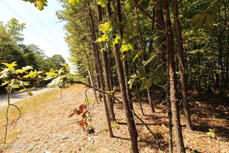 323 Rotherham Dr, Fairfield Glade, TN 38558