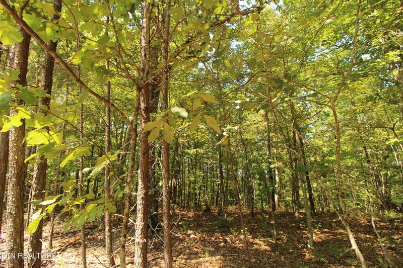 323 Rotherham Dr, Fairfield Glade, TN 38558