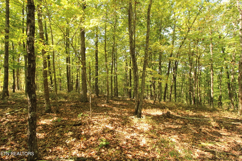 323 Rotherham Dr, Fairfield Glade, TN 38558