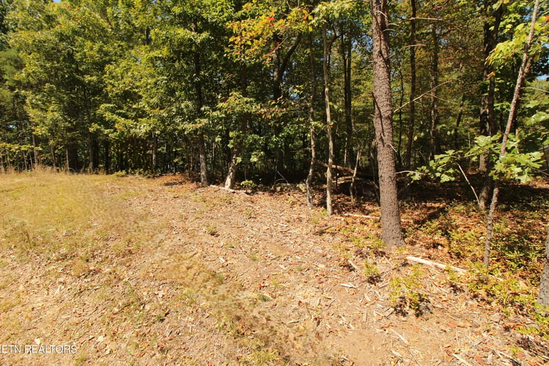 323 Rotherham Dr, Fairfield Glade, TN 38558