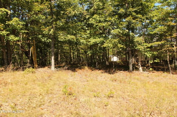 323 Rotherham Dr, Fairfield Glade, TN 38558
