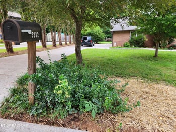 3232 Fairoaks Dr, Maryville, TN 37803