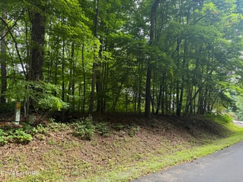 324 Dudala Point, Loudon, TN 37774