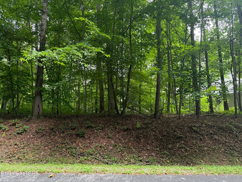 324 Dudala Point, Loudon, TN 37774