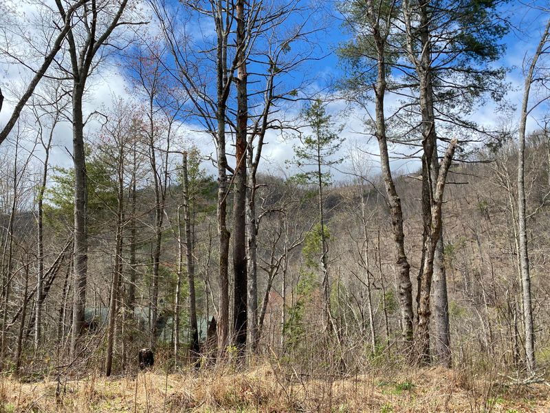 324 Jackson Rd, Gatlinburg, TN 37738