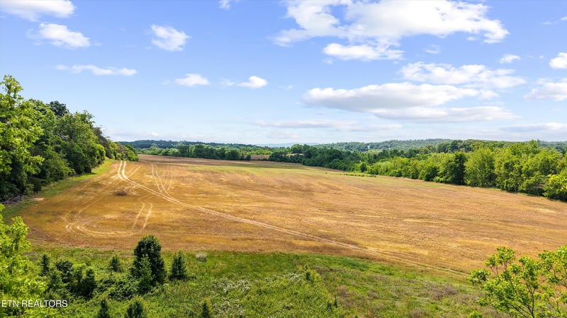 3245 W Lamar Alex Pkwy, Friendsville, TN 37737