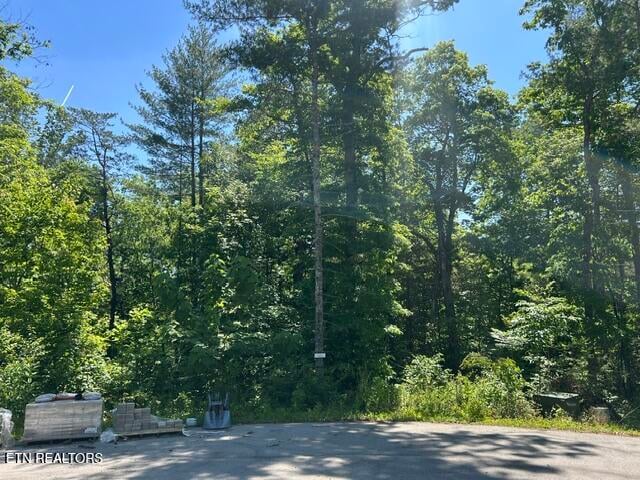 325 Beckett Ridge Rd, Townsend, TN 37882