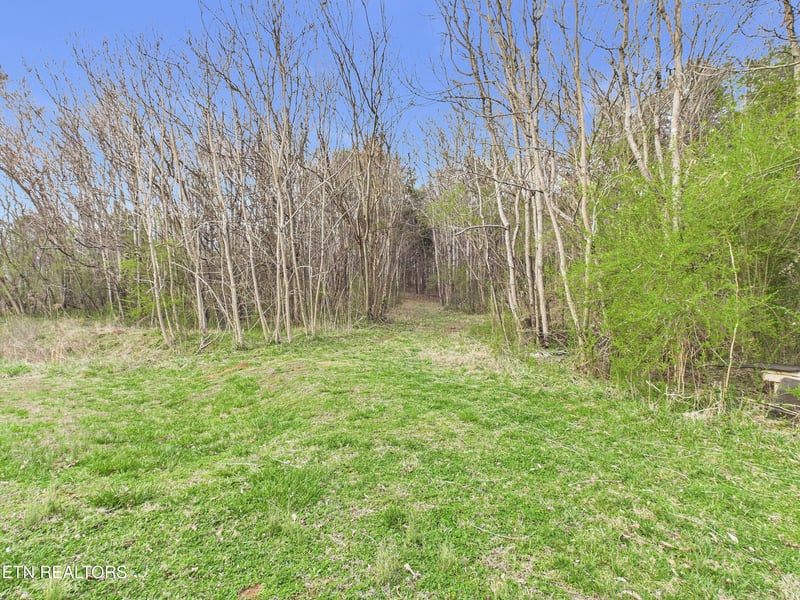 325 Countryside Ln, Madisonville, TN 37354