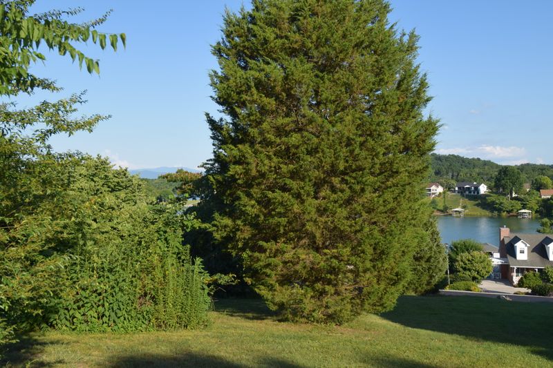 325 Gadusi Ln, Loudon, TN 37774