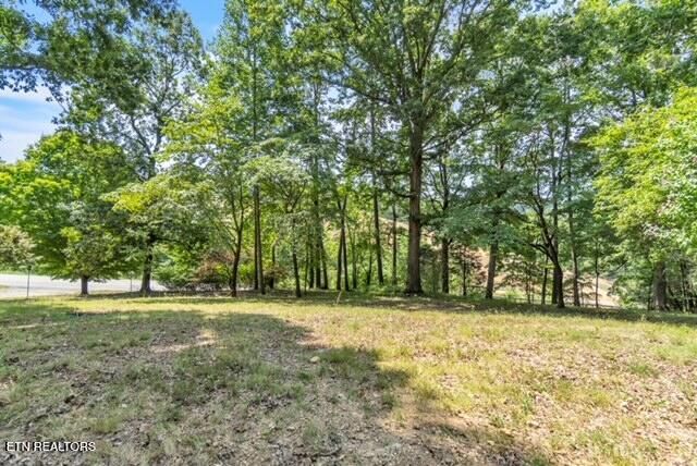 3253 Vonore Rd, Loudon, TN 37774