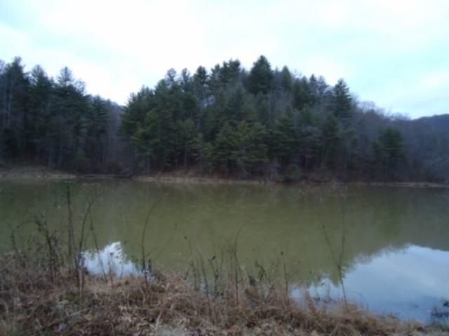 3255 Buffalo Rd, Oneida, TN 37841