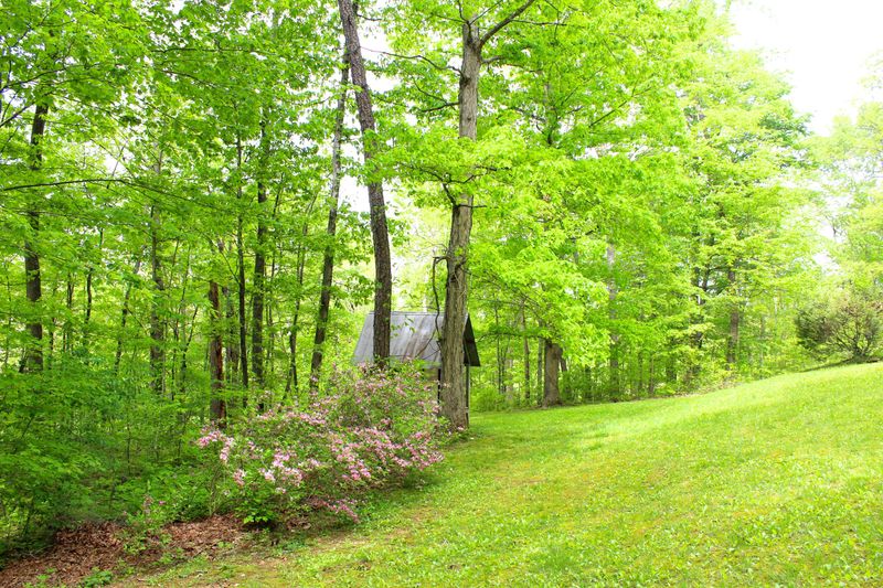 326 Brisco Rd, Blaine, TN 37709