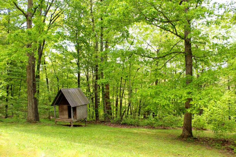 326 Brisco Rd, Blaine, TN 37709
