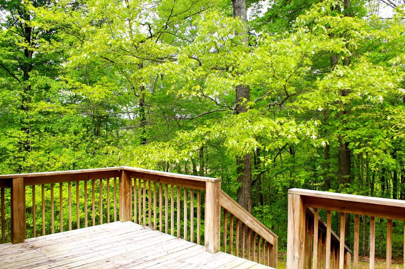 326 Brisco Rd, Blaine, TN 37709