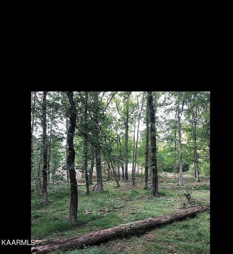 326 Eagle Ridge Dr, Rockwood, TN 37854