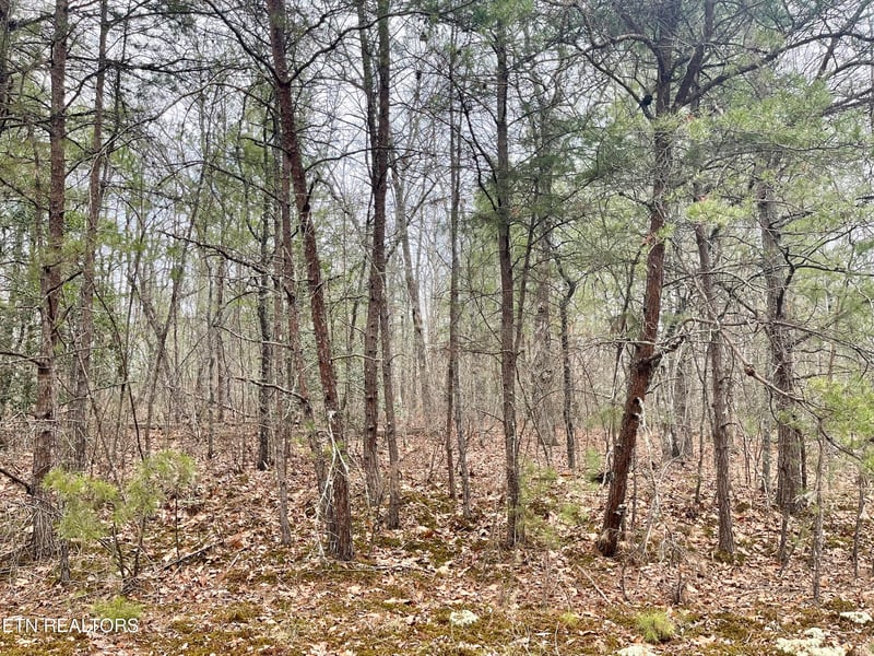 327 Bainbridge Rd, Crossville, TN 38558