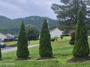 327 Thomas Loop Rd, Sevierville, TN 37876