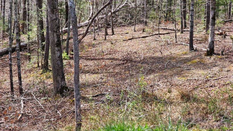 328 Beckett Ridge Rd, Townsend, TN 37882