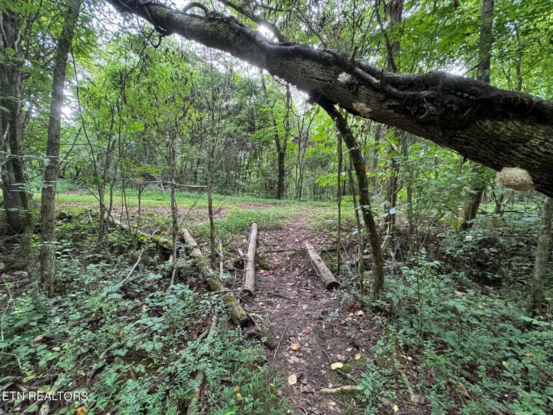 328 Dudala Point, Loudon, TN 37774