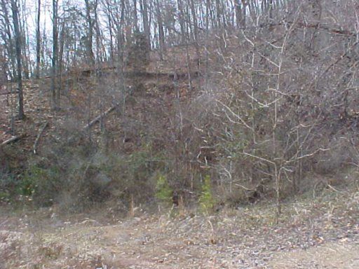 328 Mcdaniel Rd, Bean Station, TN 37708
