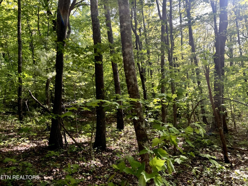 328ac Peavine Firetower Rd, Crossville, TN 38571