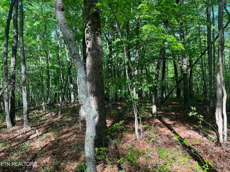 328ac Peavine Firetower Rd, Crossville, TN 38571