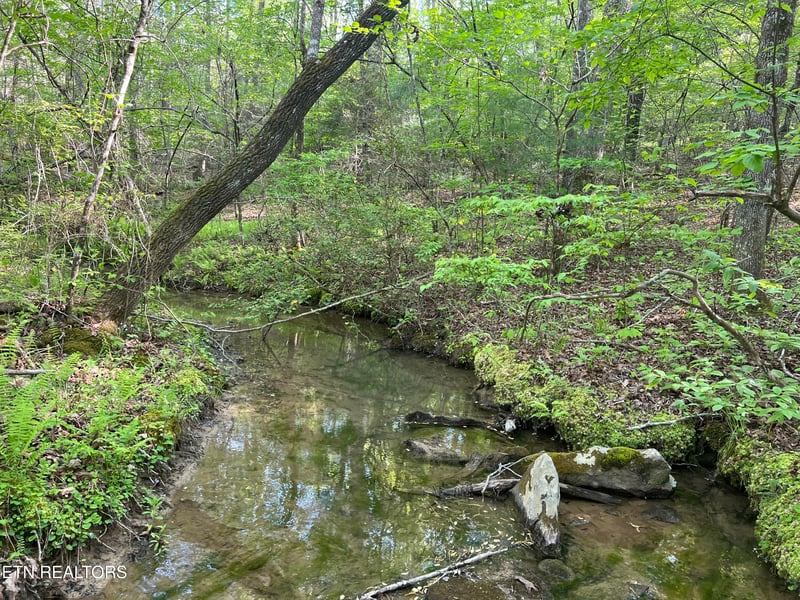 328ac Peavine Firetower Rd, Crossville, TN 38571