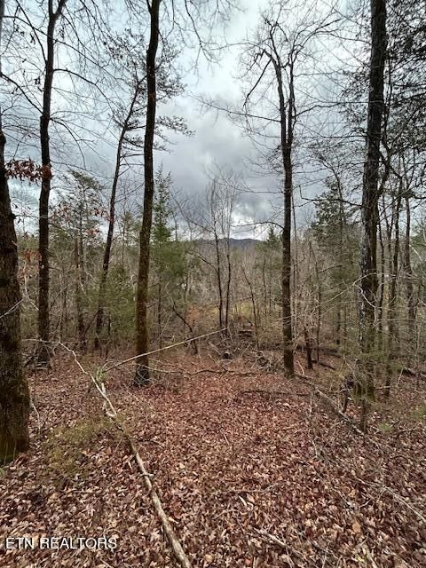329 Beckett Ridge Rd, Townsend, TN 37882