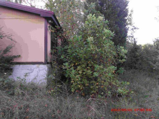 329 Eggers, Maryville, TN 37803