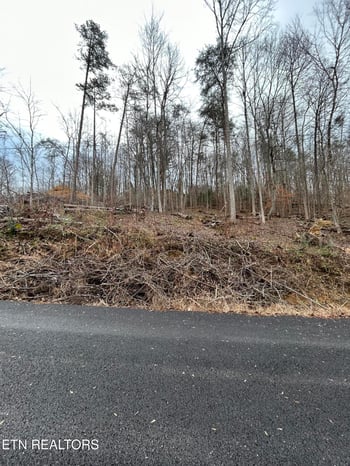 329 Island Cove Rd, Rocky Top, TN 37769