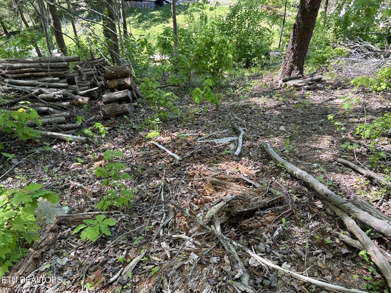 329 Island Cove Rd, Rocky Top, TN 37769
