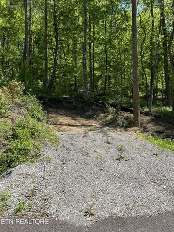 329 Island Cove Rd, Rocky Top, TN 37769