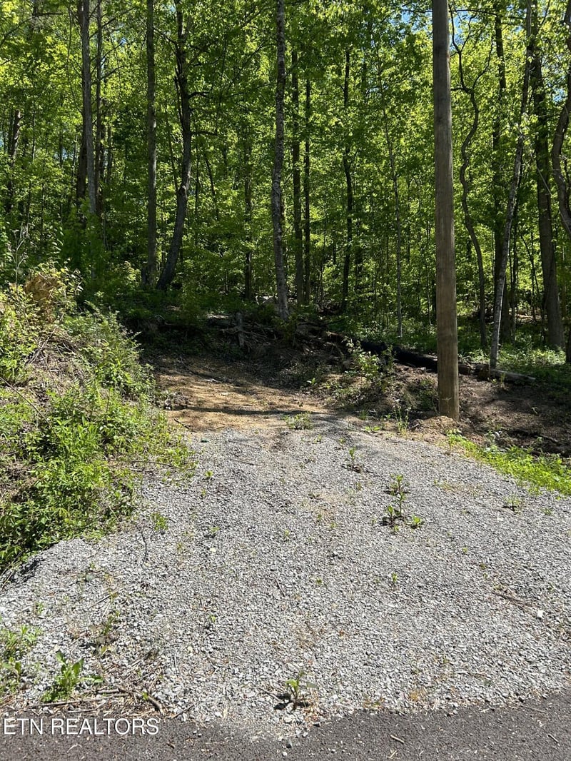 329 Island Cove Rd, Rocky Top, TN 37769