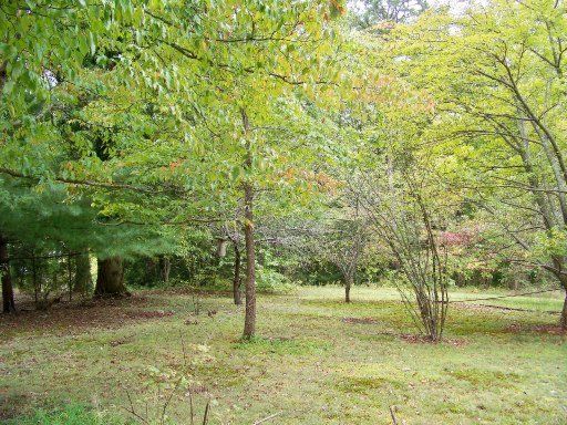 329 Pine Ridge Rd, Harriman, TN 37748