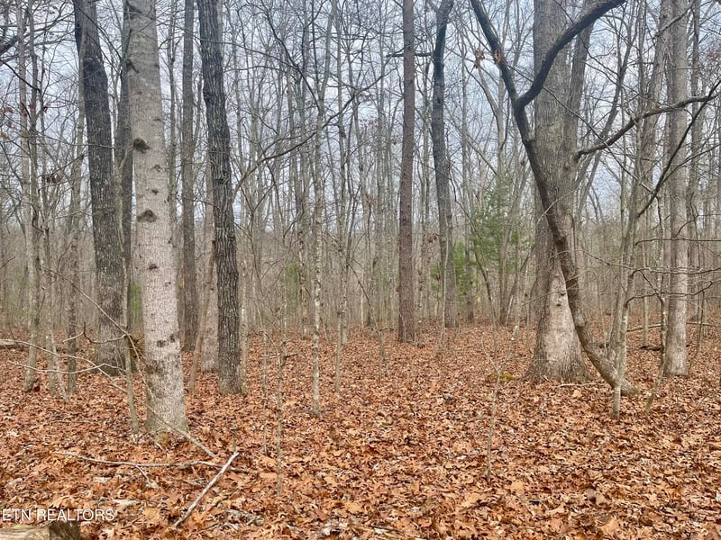 33 Leeds Ter, Crossville, TN 38558