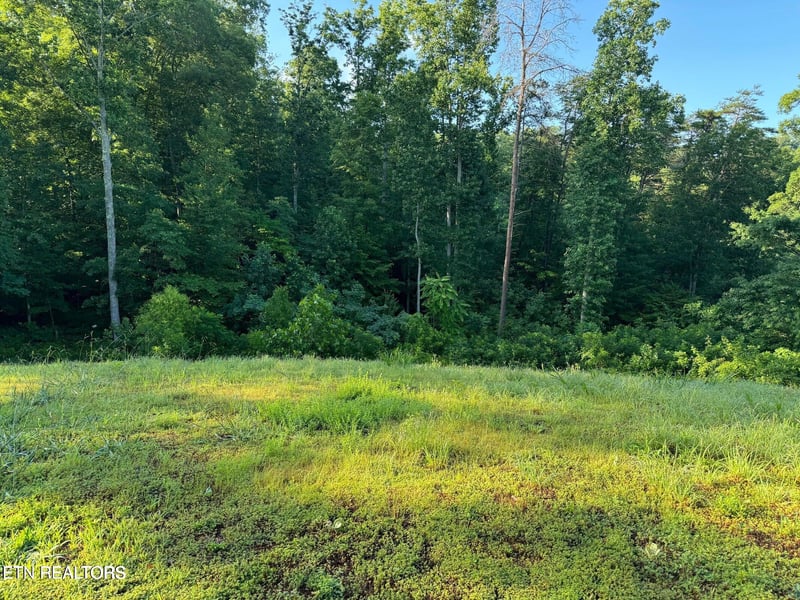 330 N Dark Hollow Rd, Andersonville, TN 37705