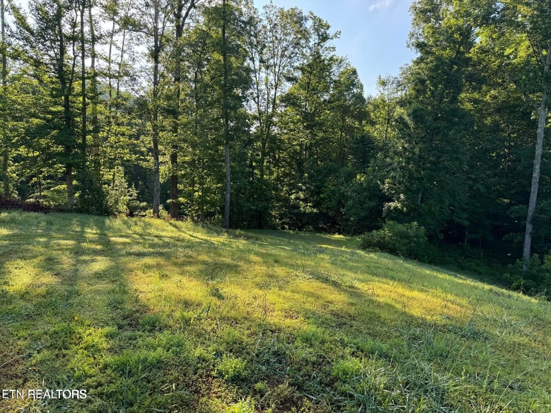 330 N Dark Hollow Rd, Andersonville, TN 37705