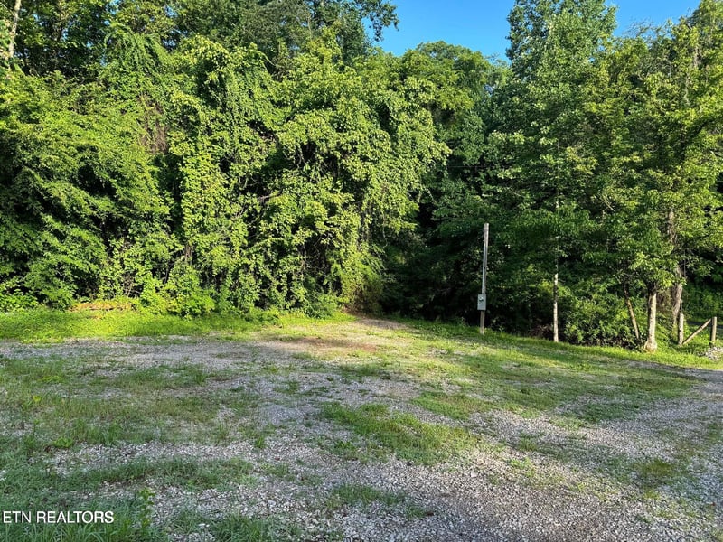 330 N Dark Hollow Rd, Andersonville, TN 37705