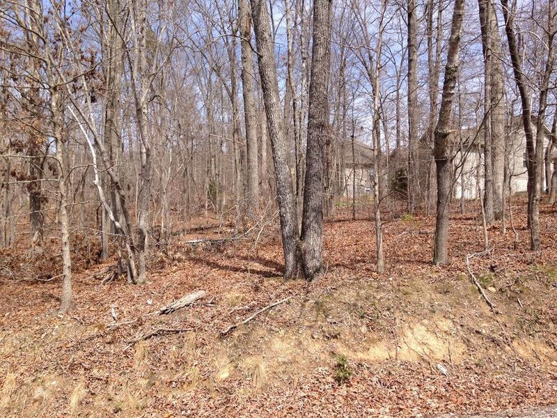 330 Oostanali Cir, Loudon, TN 37774