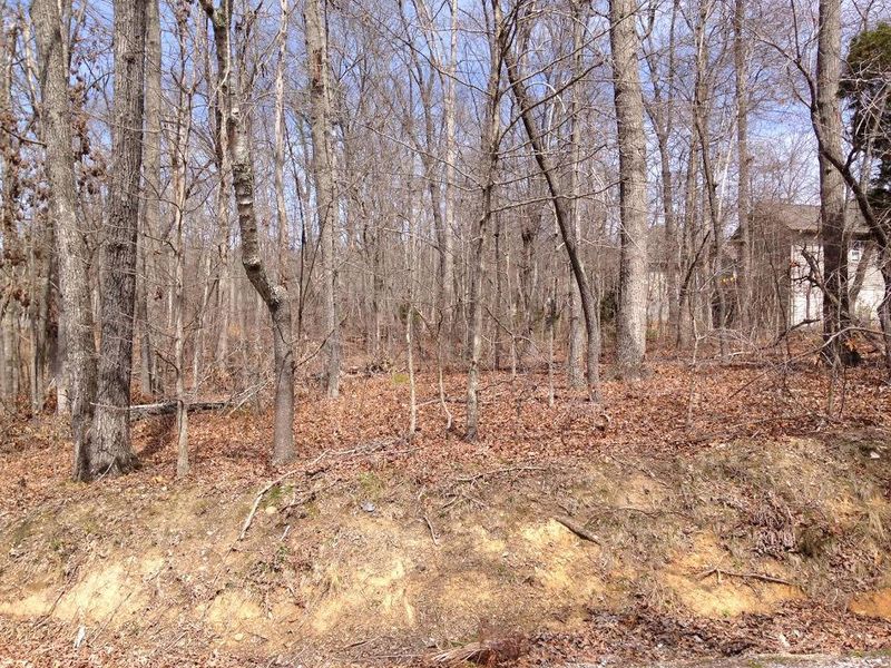 330 Oostanali Cir, Loudon, TN 37774