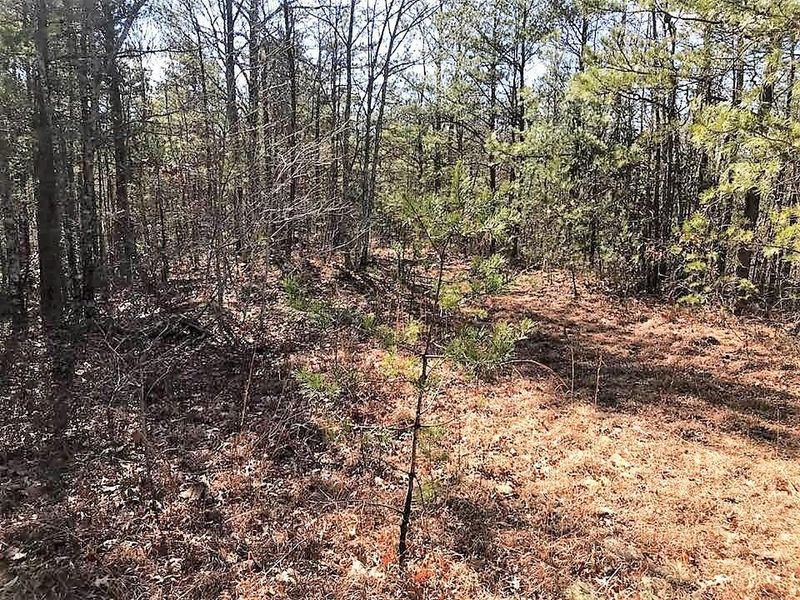 330 Smithfield Rd, Tellico Plains, TN 37385