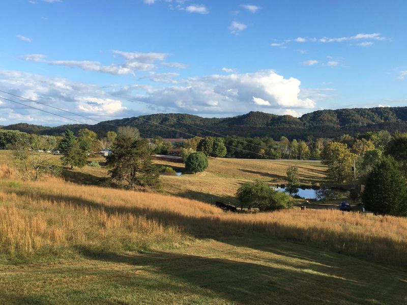 330 Wallace Ln, Bean Station, TN 37708