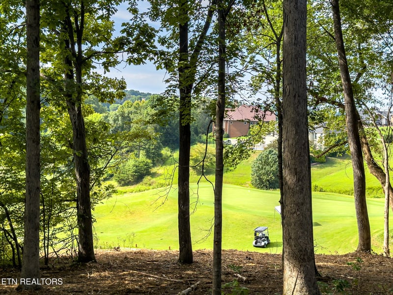 330 Warbler Point, Sevierville, TN 37876